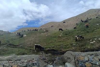 Kailash Manasharavar Tour 