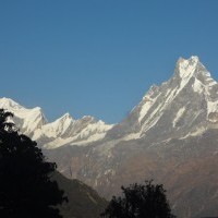 A close-up view of the snow-covered Machhapuchhre or Fishtail mountain, one of the iconic peaks of the Annapurna region, seen from the Annapurna Base Camp trek organized by Thirdpole Treks.